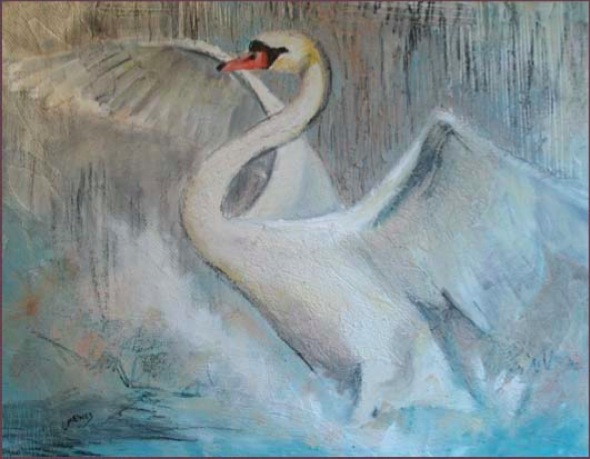 zwaan